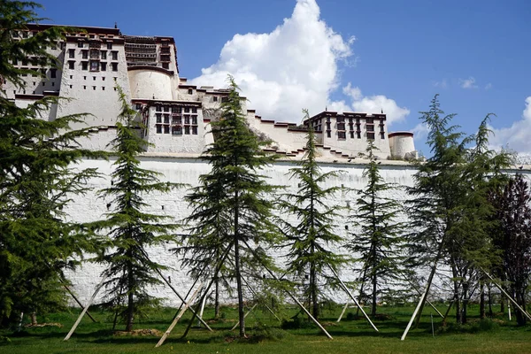 Palais Potala et les arbres — Photo