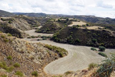 Görünüm alanları