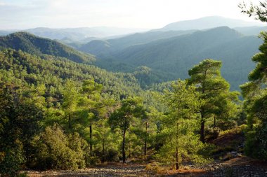 Troodos dağda