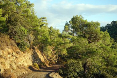 Toprak yolun yamaç