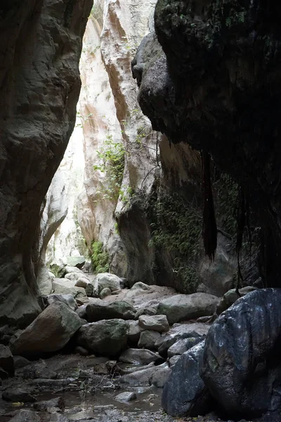 Sentiero nella gola di Avakas — Foto Stock