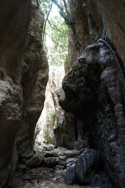 Sendero en la garganta de Avakas — Foto de Stock