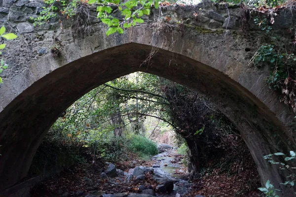 Medeltida bron i skogen — Stockfoto