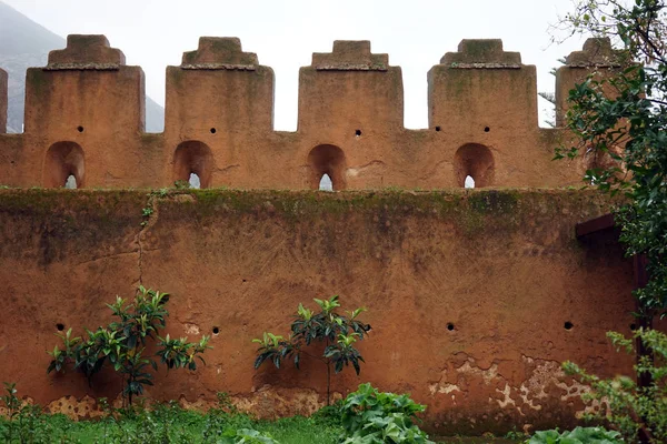 Muro di castello — Foto Stock