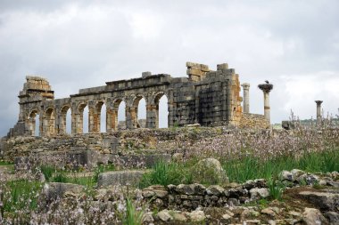 Valubilis kalıntıları