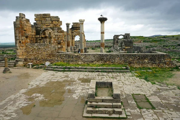 Volubilis Harabeleri — Stok fotoğraf