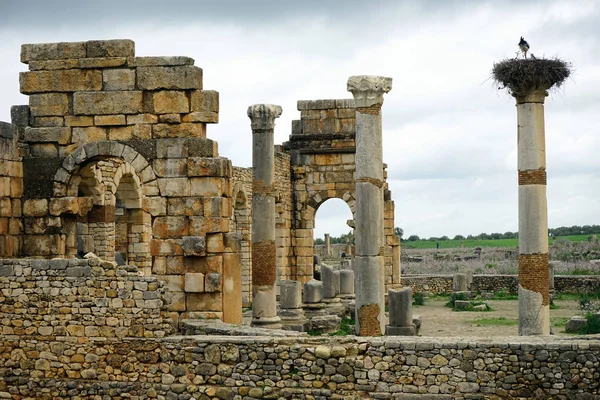 Ruinas del templo — Foto de Stock