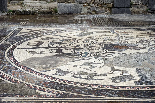Rzymska mozaika — Zdjęcie stockowe