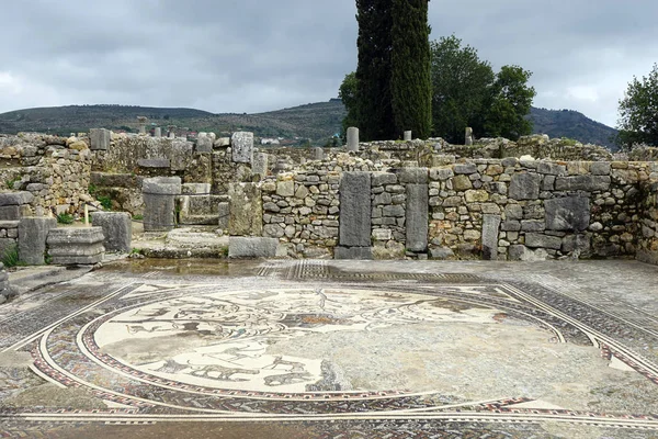 Mosaico romano — Fotografia de Stock