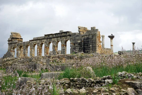 Ruinas de Valubilis — Foto de Stock