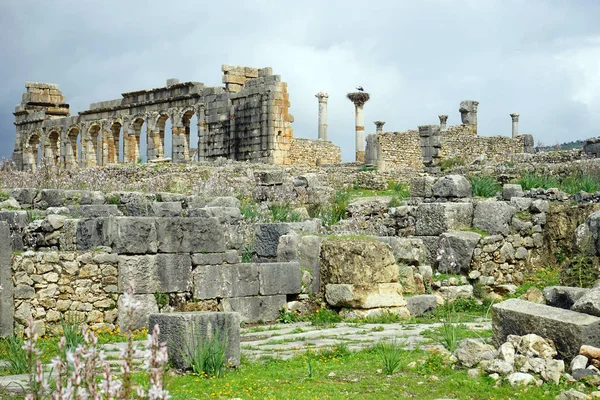 Ruiny Valubilis — Zdjęcie stockowe