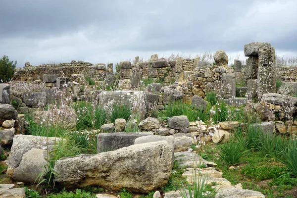 Ruïnes van Valubilis — Stockfoto