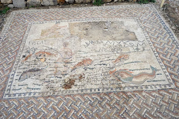 Ancient mosaic — Stock Photo, Image