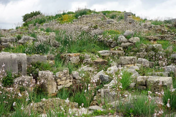 Ruinas en Volubilis —  Fotos de Stock