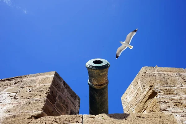 Martı ve fort — Stok fotoğraf