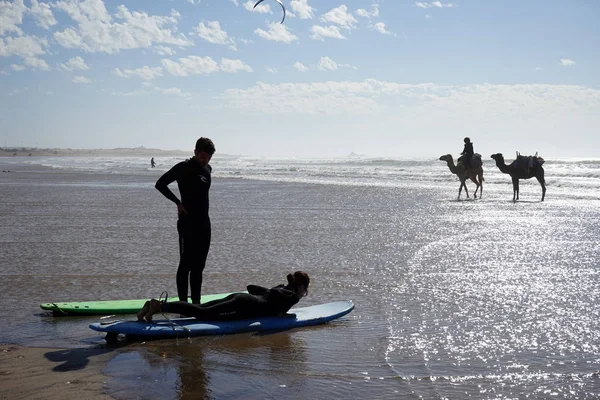 Kamelen en surfers op het strand — Stockfoto