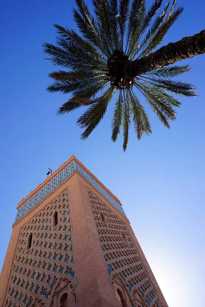 Minarete e palmeira — Fotografia de Stock