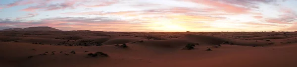 Salida del sol en el desierto — Foto de Stock