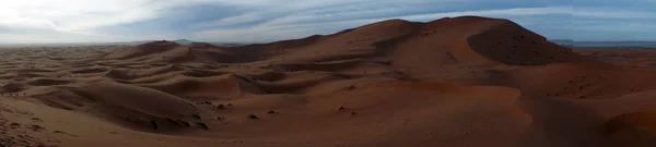 Manhã no deserto — Fotografia de Stock