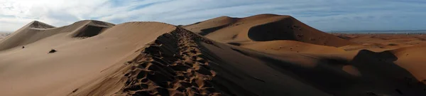 Sahara desert — Stock Photo, Image