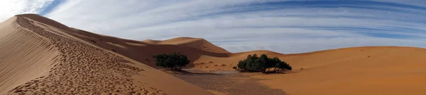 Pegadas na duna — Fotografia de Stock