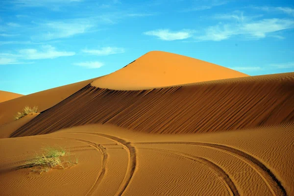 Zandduin — Stockfoto