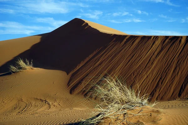 Grama seca no deserto — Fotografia de Stock