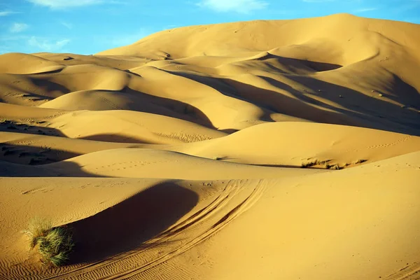 Duinen in Saharawoestijn — Stockfoto