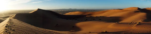 Reggel a sivatagban — Stock Fotó