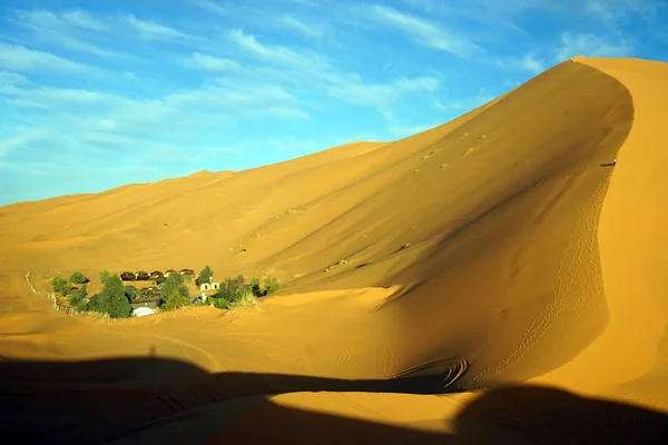 Oasis közelében dune — Stock Fotó