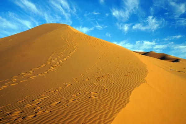 Passos na duna — Fotografia de Stock