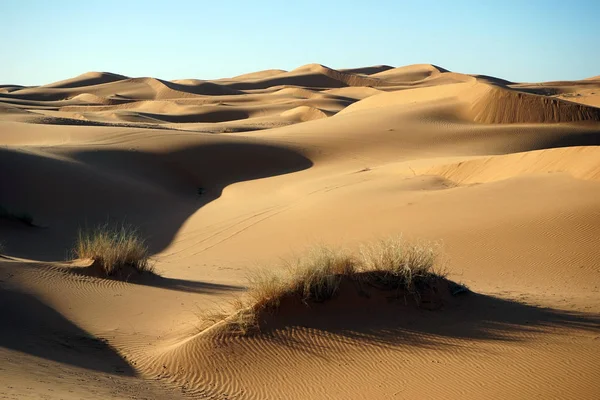 Sanddynerna i sahara — Stockfoto