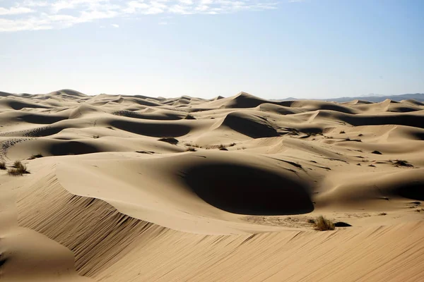 Dunes de sable — Photo