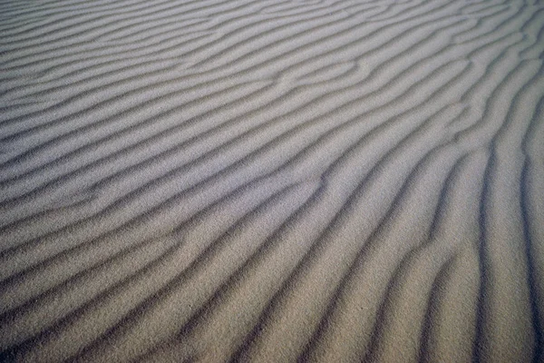 Лінії на дюні — стокове фото