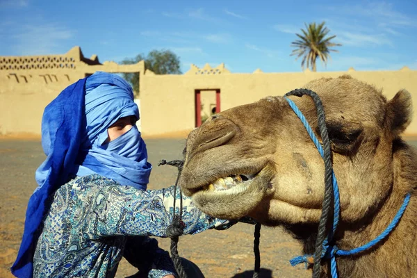 Жінка і верблюд — стокове фото