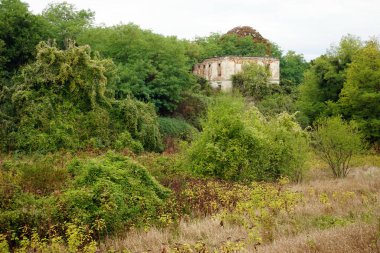 Kırım ormanındaki eski bina.
