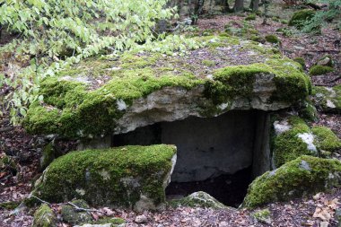 Kırım 'daki ormandaki antik dolmenler