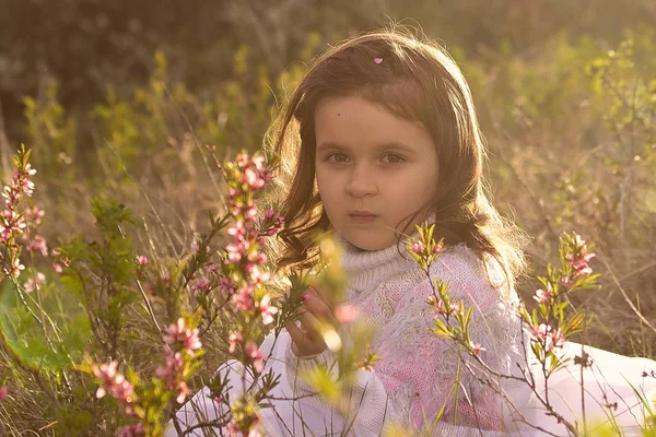 在自然的春天的花朵的小女孩 图库照片