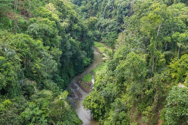 Rio e selva em Bali . — Fotografia de Stock