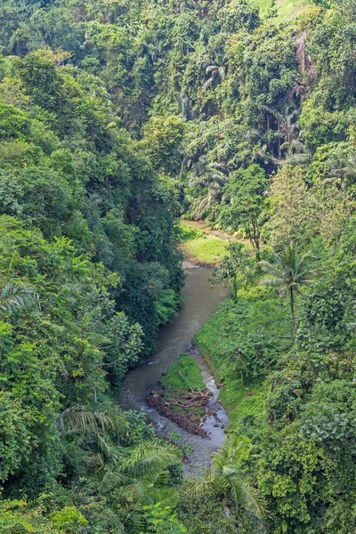 Folyó és a dzsungel-Bali — Stock Fotó