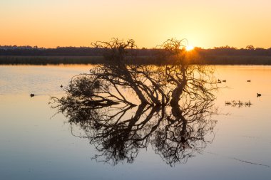 Şafak gölde çoban