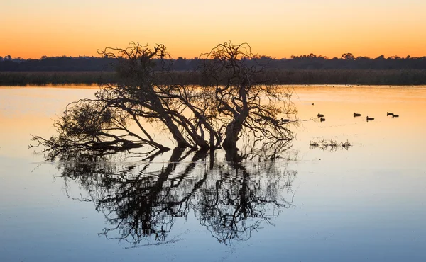 Herder Lake bij dageraad — Stockfoto
