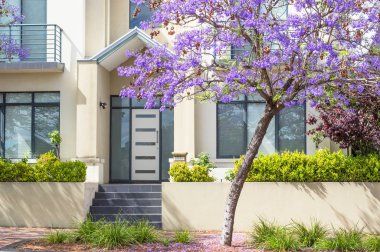 Townhouse and Jacaranda clipart