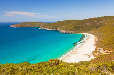 Shelley Beach Avustralya