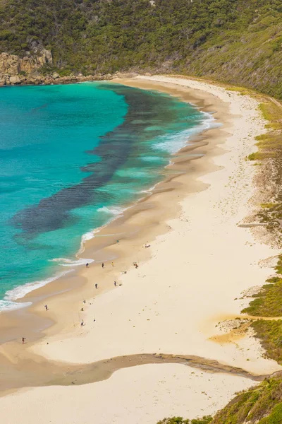 Shelley Beach en Australie — Photo