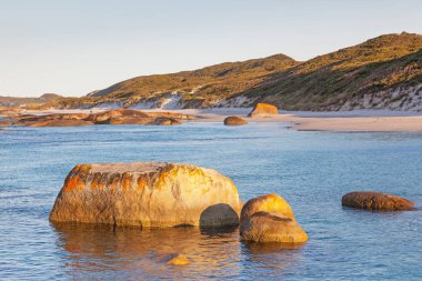 Yeşiller havuzu Batı Avustralya