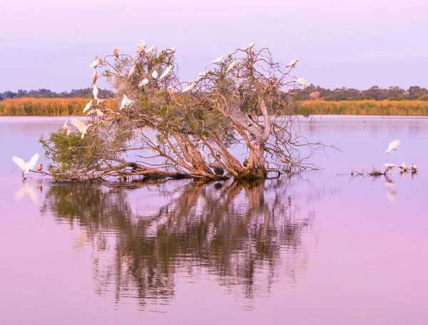 黄昏的牧民湖 — 图库照片