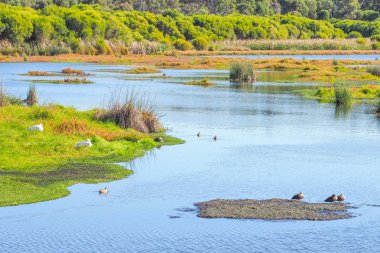 Yanchep Milli Parkı
