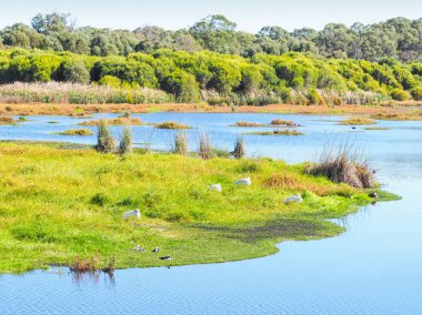 Yanchep Milli Parkı
