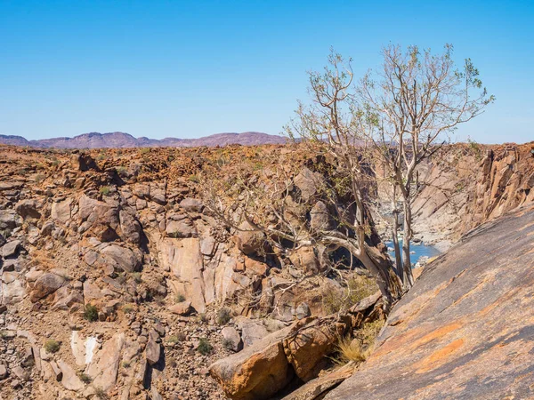 Orange River Gorge en boom — Stockfoto